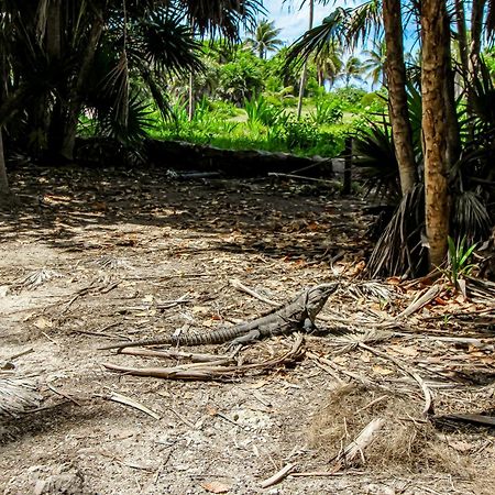 Miraluna 233 At Luum Zama Tulum Eksteriør bilde
